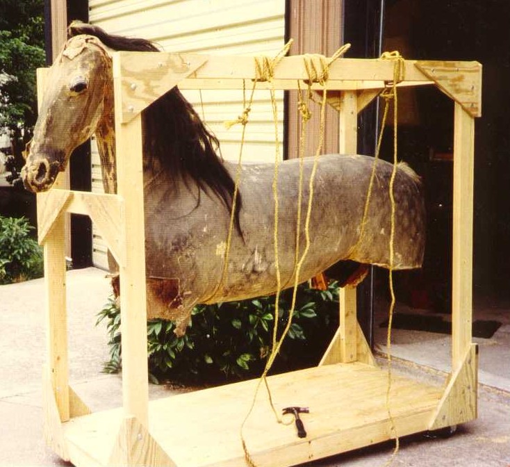 mapel brothers horse mannequin -from museum FB page--album--photo 24